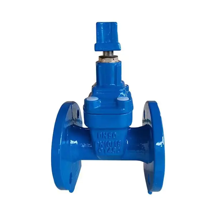 Vcore Valve Double Flanged Gate Valve product image