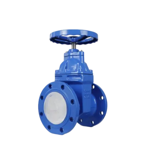 Referencia de inspección de válvulas de compuerta con asiento metálico - Vcore Valve