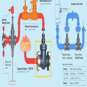 Aplicación de proceso de válvula de compuerta con asiento metálico - Vcore Valve