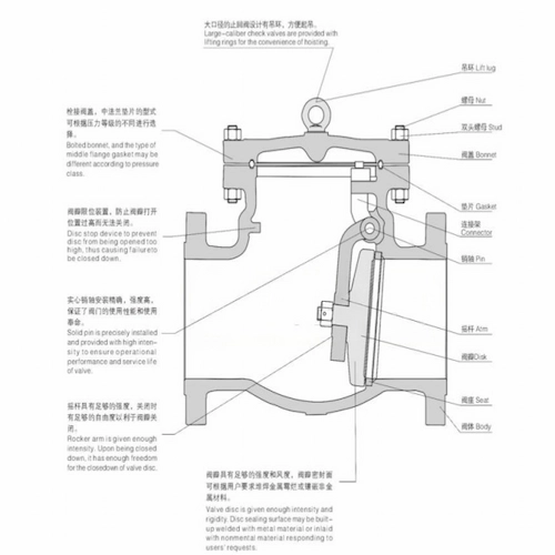Structuurdiagram van de terugslagklep, met interne componenten voor terugstroompreventie en eenrichtingsstroomregeling, Vcore-klep