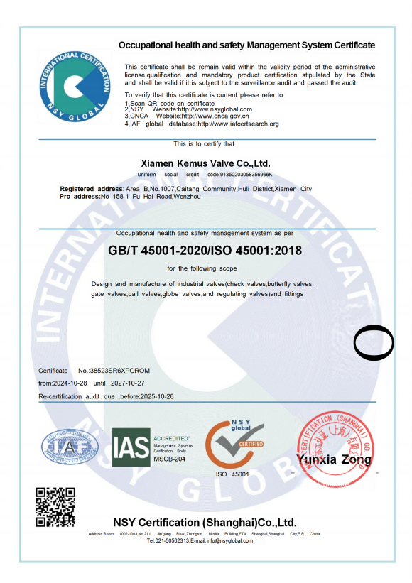 International Standards in Valve Manufacturing for industrial valve buyers