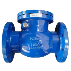 Premium Carbon Steel Swing Check Valve