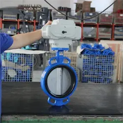 Automatic Electric Valves