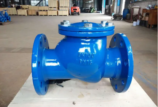 check-valve