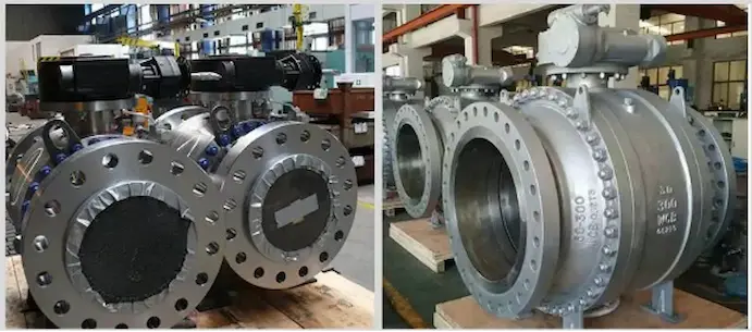eccentric-half-ball-valve-slurry-application