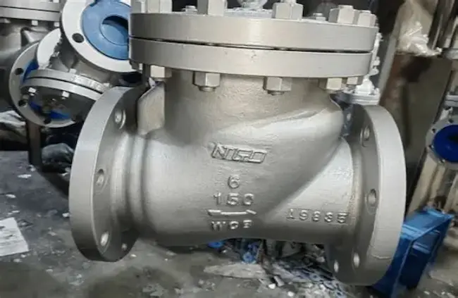 industrial-check-valve-stainless-steel.