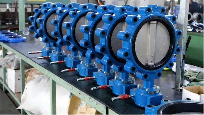 lug-butterfly-valve-end-of-line-installation