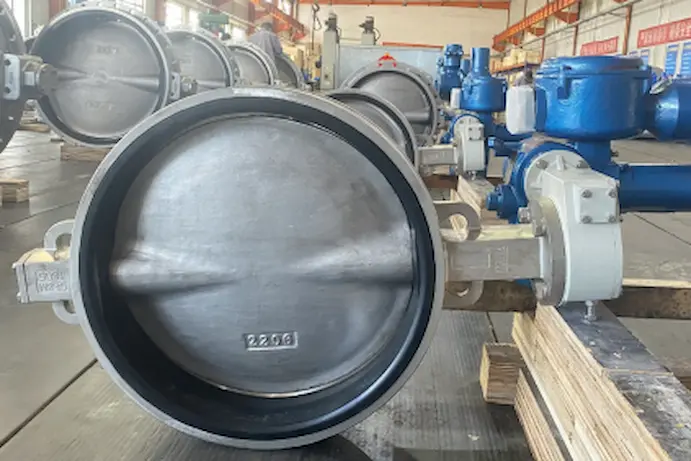 Butterfly-Valve-Discs