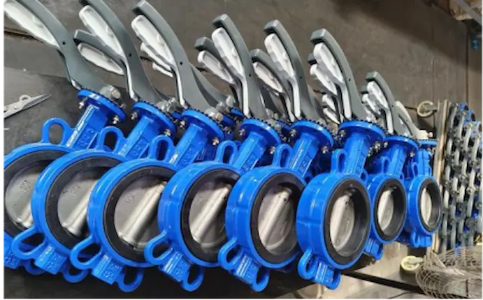 ductile iron butterfly valve manufacturer China
