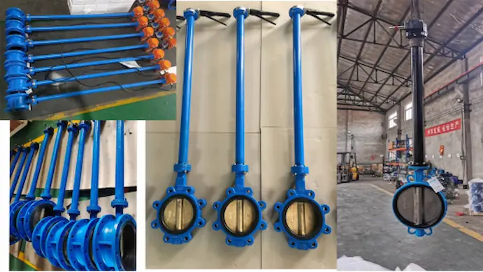 Extended-stem-butterfly-valve