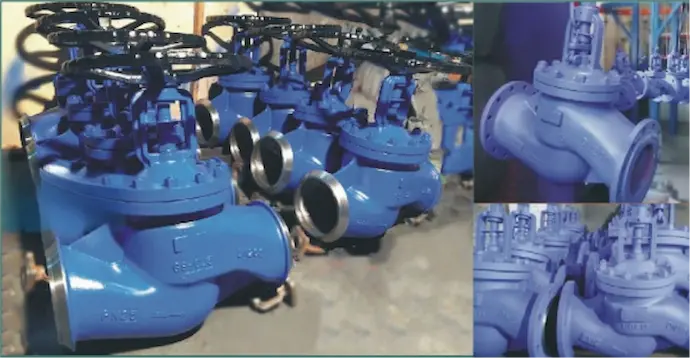 bellow-seal-globe-valve-industrial-application.