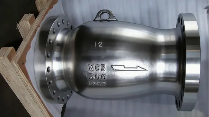 stainless-steel-nozzle-check-valve-industrial-application.