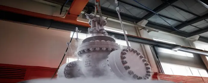 Cryogenic-Valve