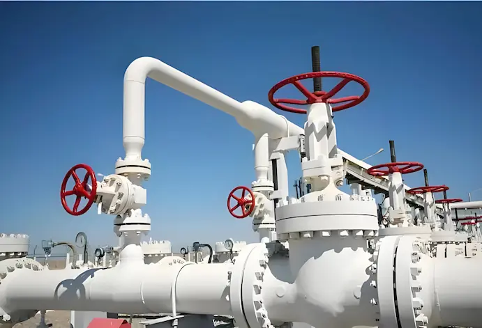 스케일 방지용 코팅 게이트 밸브