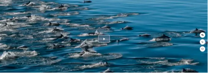 เซี่ยงไฮ้-กะรน-วาล์ว---เทศบาล-น้ำ-ระบบ-วาล์ว-ผู้จำหน่าย