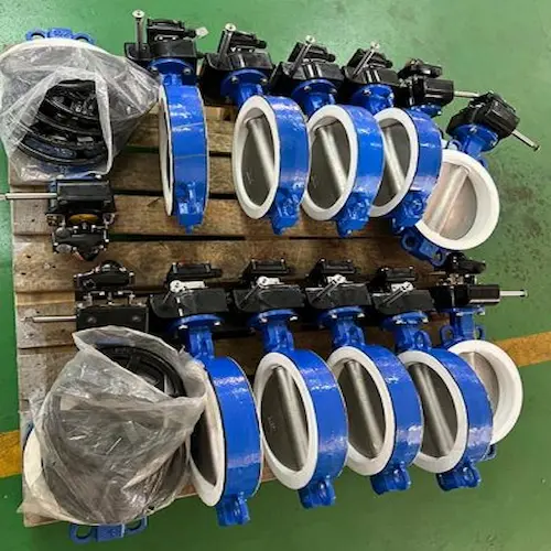 struktur penyegelan cakram katup kupu-kupu