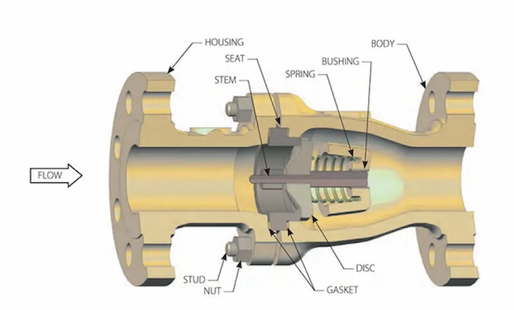 Nozzle check valve internal axial spring closure structure